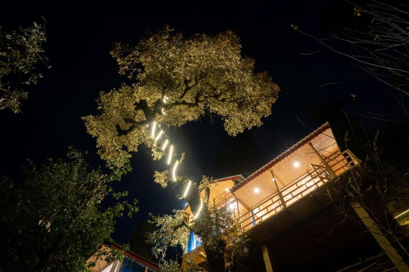Into The Woods Treehouse Jibhi Villa Kültér fotó